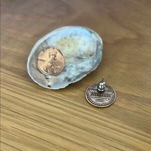 Unique Penny Stud Earrings